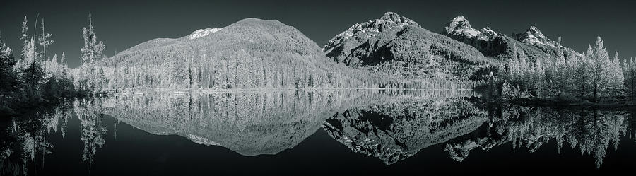 Reflections in Taggart Lake, Grand Tetons NP Photograph by Dave Wilson