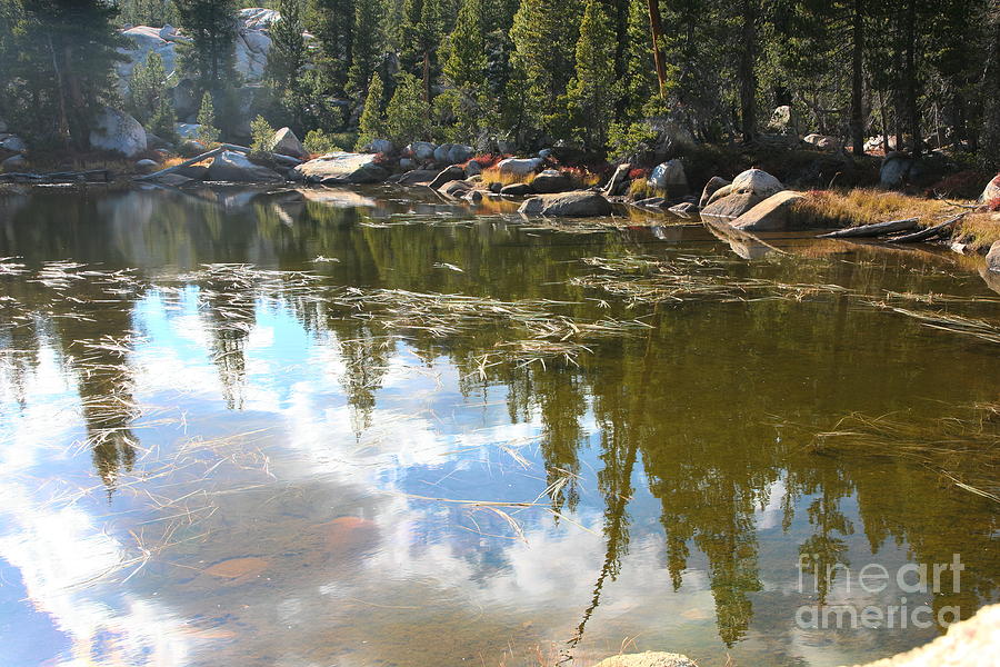 Reflections Lake Yosemite Color  Photograph by Chuck Kuhn