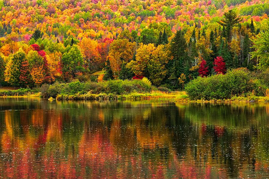 Reflections of Autumn Photograph by Dana Foreman