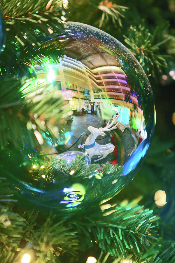 Reflections of Christmas Photograph by Shoal Hollingsworth