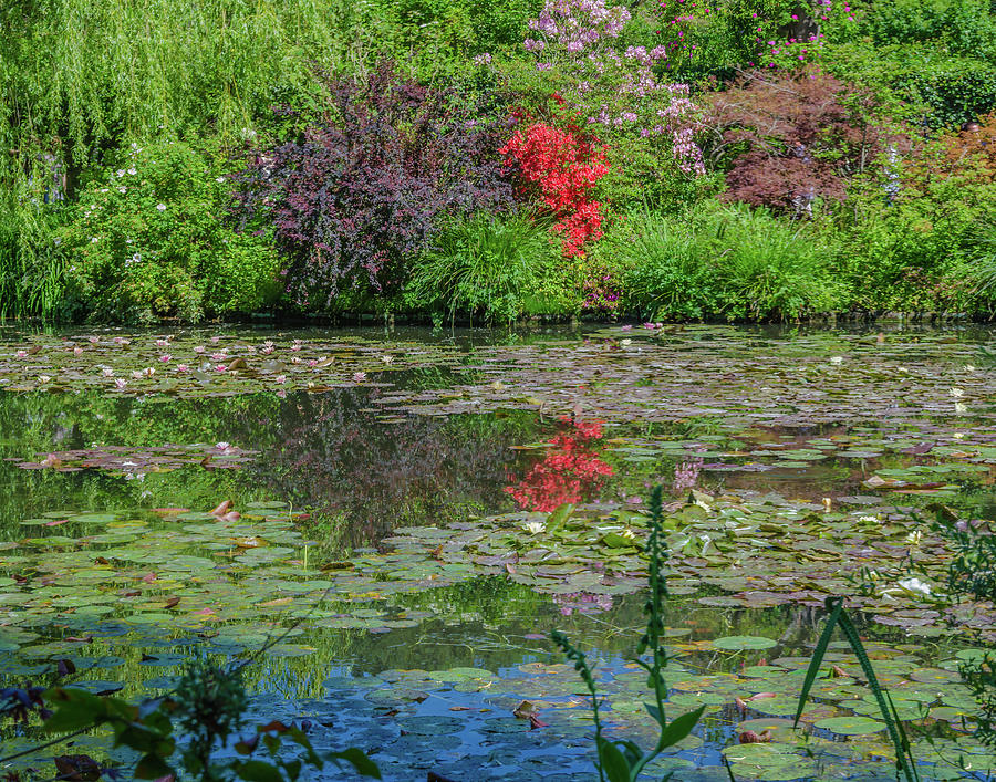 Reflections of Claude Monet Photograph by Douglas Wielfaert