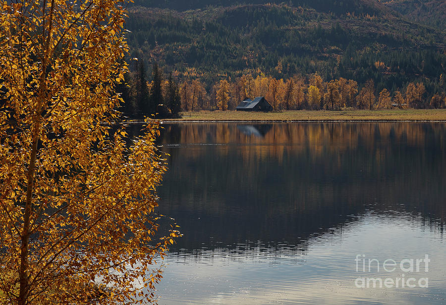 Reflections of Country Photograph by Idaho Scenic Images Linda Lantzy