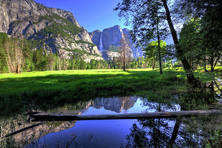 Yosemite National Park Photograph - Reflections Of Falls by Mimi Ditchie Photography