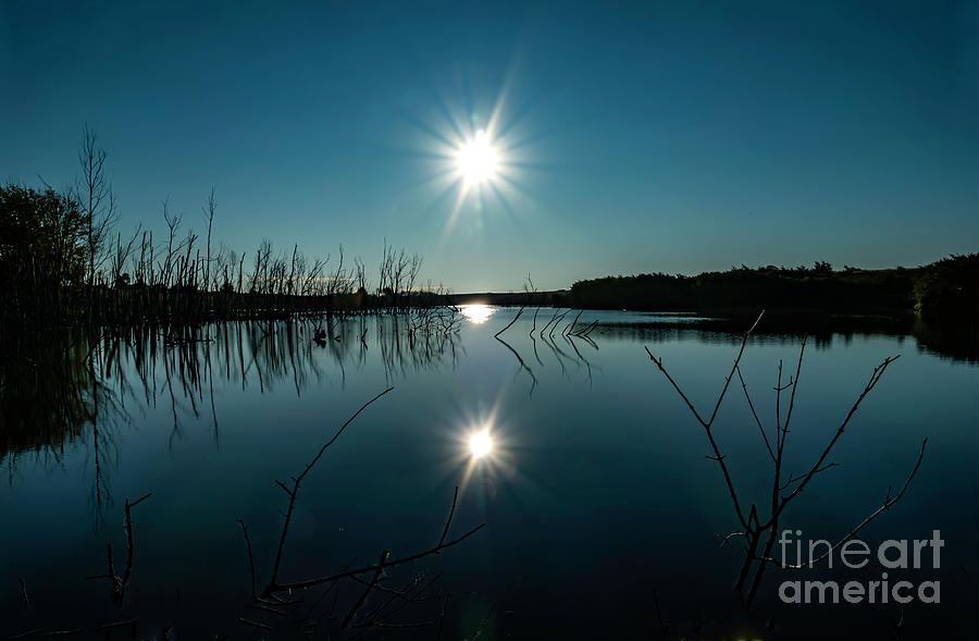 Reflections of Light Photograph by Sandra Js
