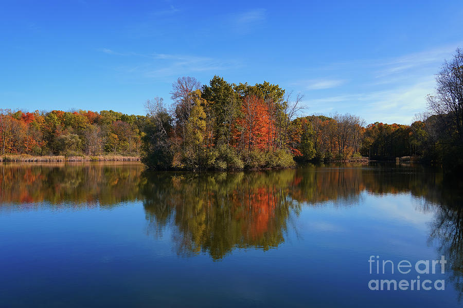 Reflections of Maybury Autumn Photograph by Rachel Cohen