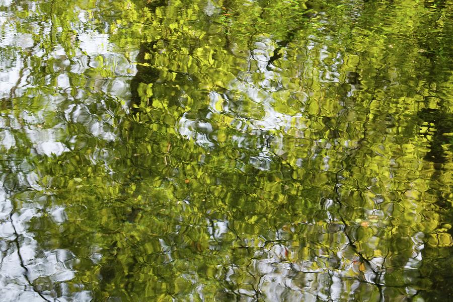 Reflections of Monet Photograph by T Lynn Dodsworth