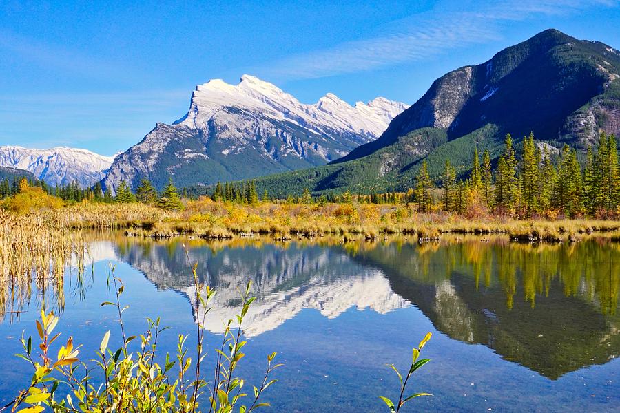 Reflections of Rundle Mountain Photograph by Kim Grosz - Fine Art America