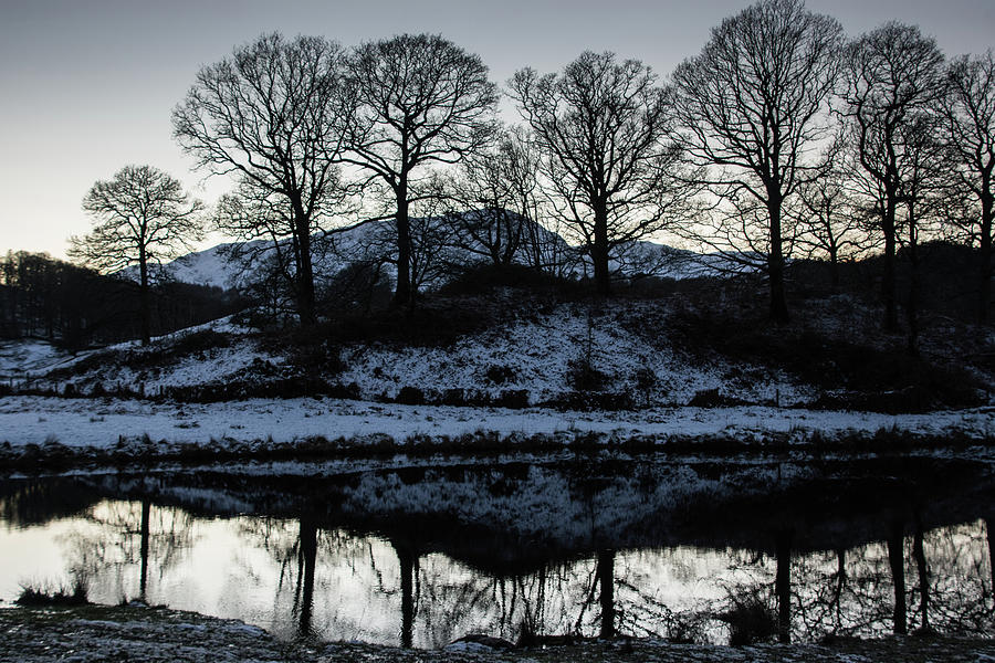 Winter Photograph - Reflections of Winter Trees by Mark Hunter