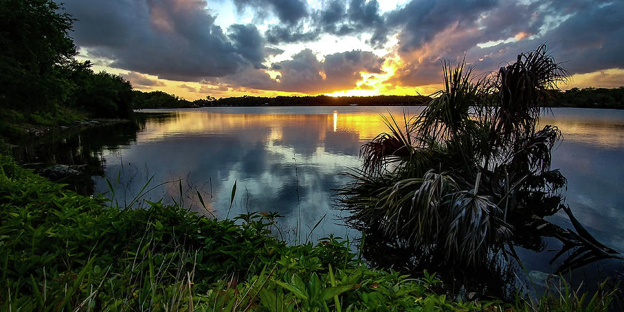 Reflections on a Pond... Photograph by David Choate - Pixels