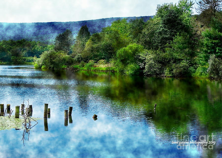 Reflections On A Summer Afternoon Photograph by Tami Quigley