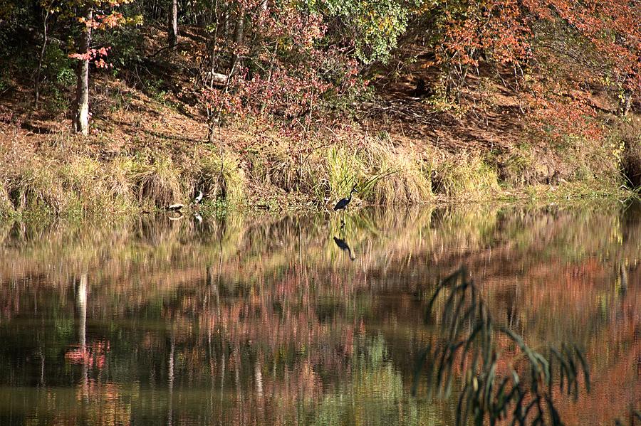 Reflections On Bedias Lake by Zeesstof