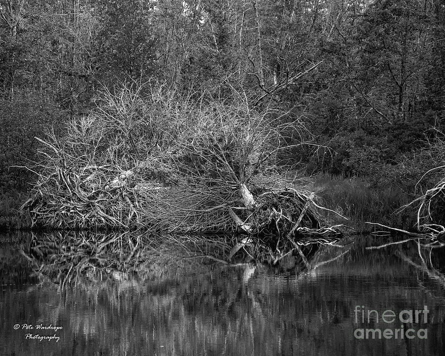 Reflections on Crooked River Photograph by Pete Wardrope Fine Art America