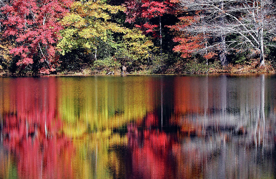 Reflections On Fairfield Lake - Cr Photograph by Jennifer Robin