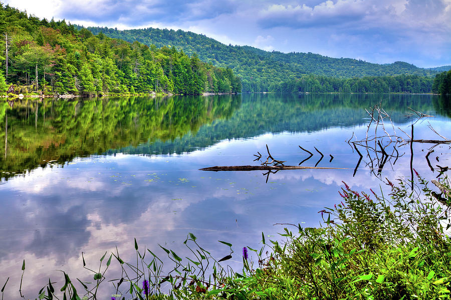 Reflections on Sis Lake Photograph by David Patterson