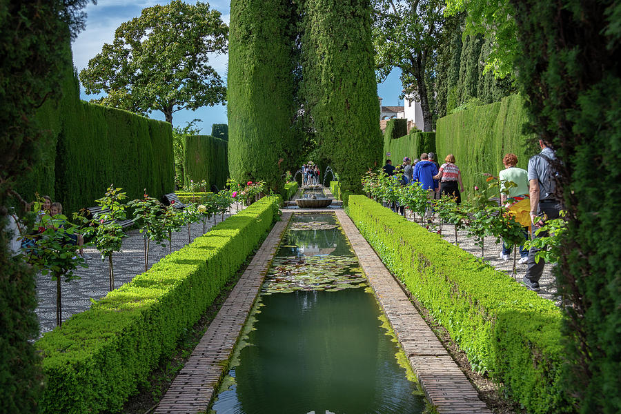 Reflections on the Alhambra Photograph by Douglas Wielfaert