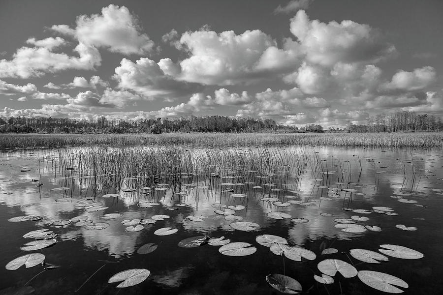Reflections over the Marsh Black and White  Photograph by Debra and Dave Vanderlaan