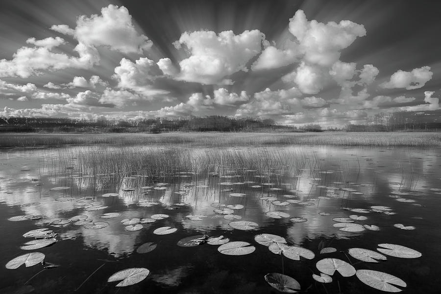 Reflections over the Marsh in Black and White Dreamscape Photograph by Debra and Dave Vanderlaan