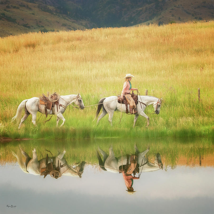 Reflections by Phyllis Burchett Reflections by Phyllis Burchett