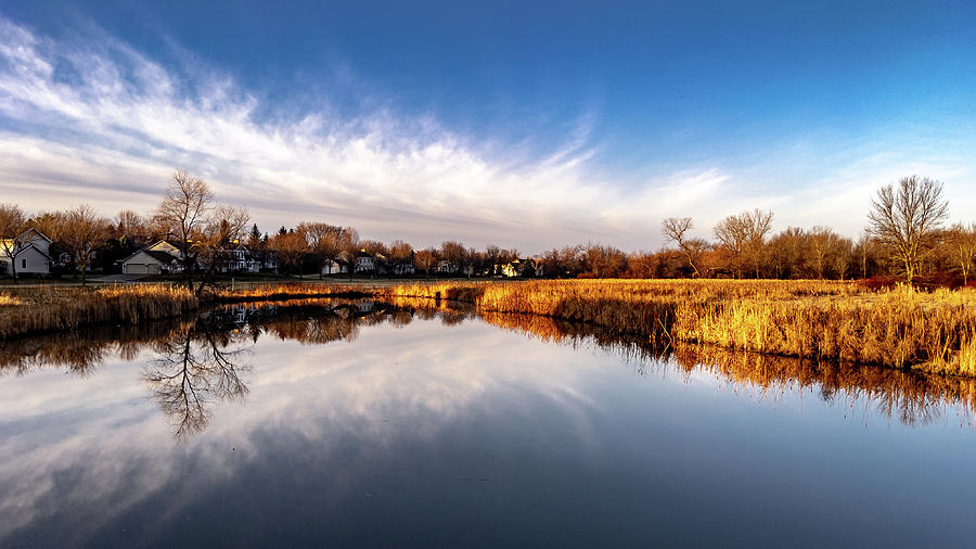 Reflections by Randy Scherkenbach Reflections by Randy Scherkenbach