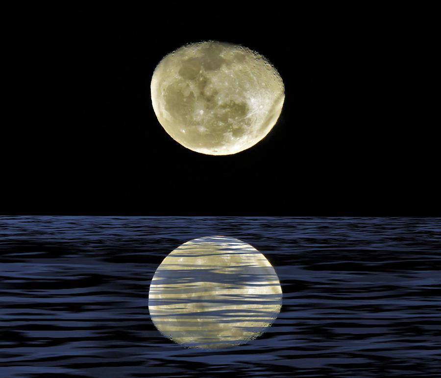 Reflective Moon Mixed Media by Joan Stratton