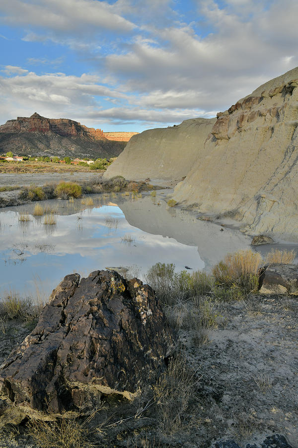 Reflective Pool in Bentonite Hills near Colorado National Monument Photograph by Ray Mathis