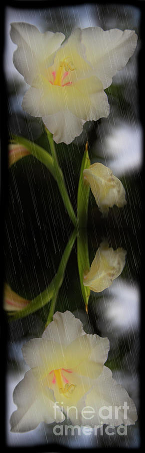Reflective Rainy Orchid Photograph by Al Bourassa
