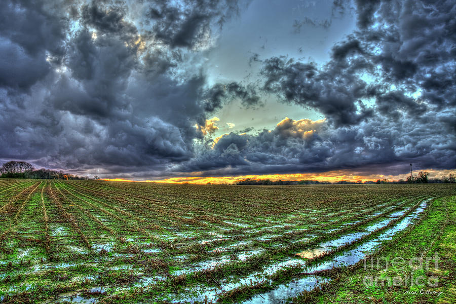 Reflective Sunset Saturation Georgia Cotton Field Landscape Art Photograph by Reid Callaway