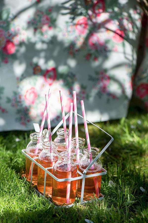 Refreshing Drinks With Drinking Straws In Bottle Carrier On Lawn Photograph by Winfried Heinze
