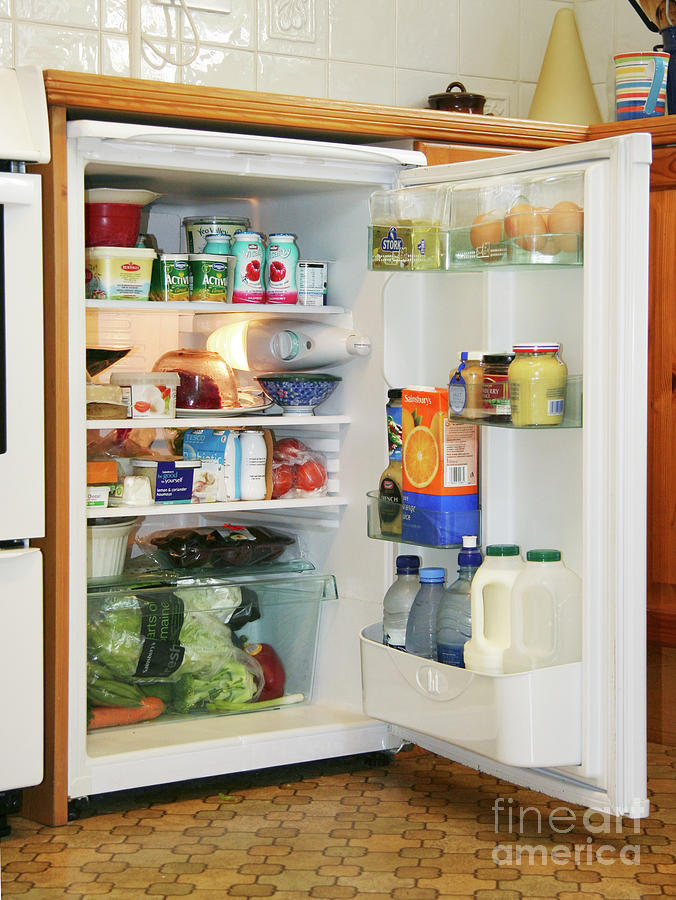 Household Goods Photograph - Refrigerator by Cordelia Molloy/science Photo Library