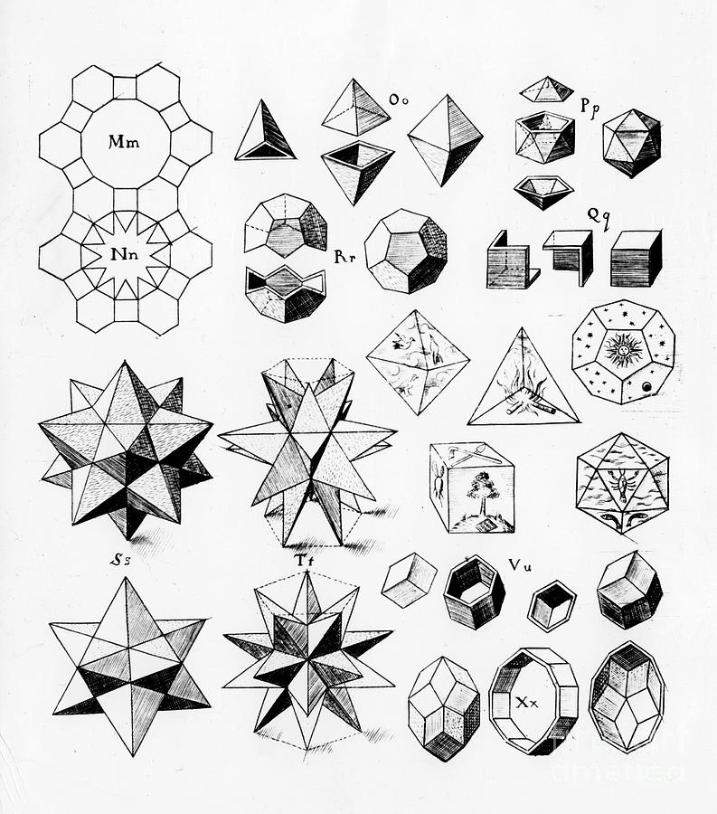 Regular Geometrical Solids Of Various Drawing by Print Collector