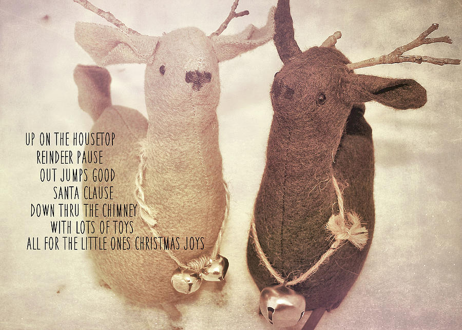 REINDEER JOYS quote Photograph by JAMART Photography