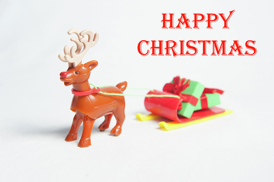 Reindeer Sleigh - Happy Christmas Photograph by Helen Jackson