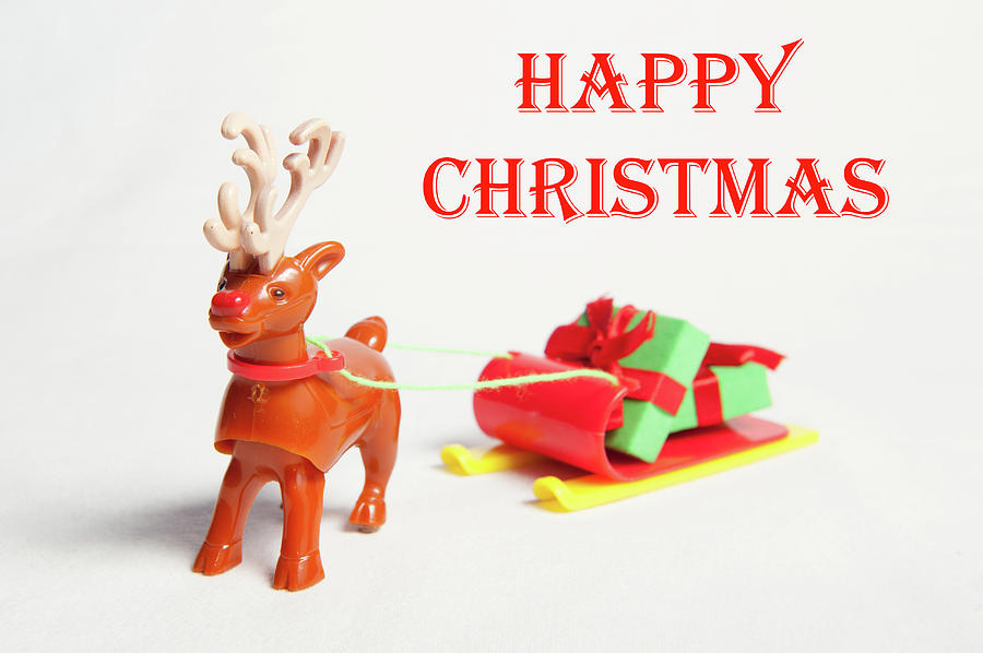 Reindeer Sleigh - Happy Christmas ii Photograph by Helen Jackson