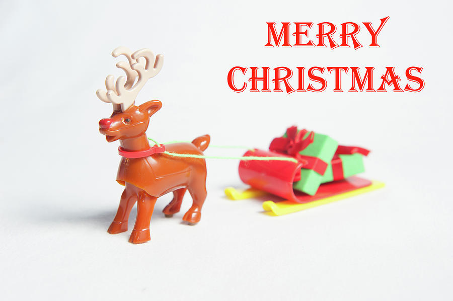 Reindeer Sleigh - Merry Christmas Photograph by Helen Jackson