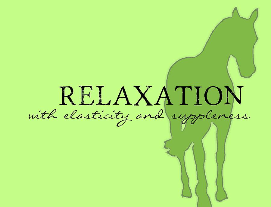 Relaxation Photograph by Dressage Design
