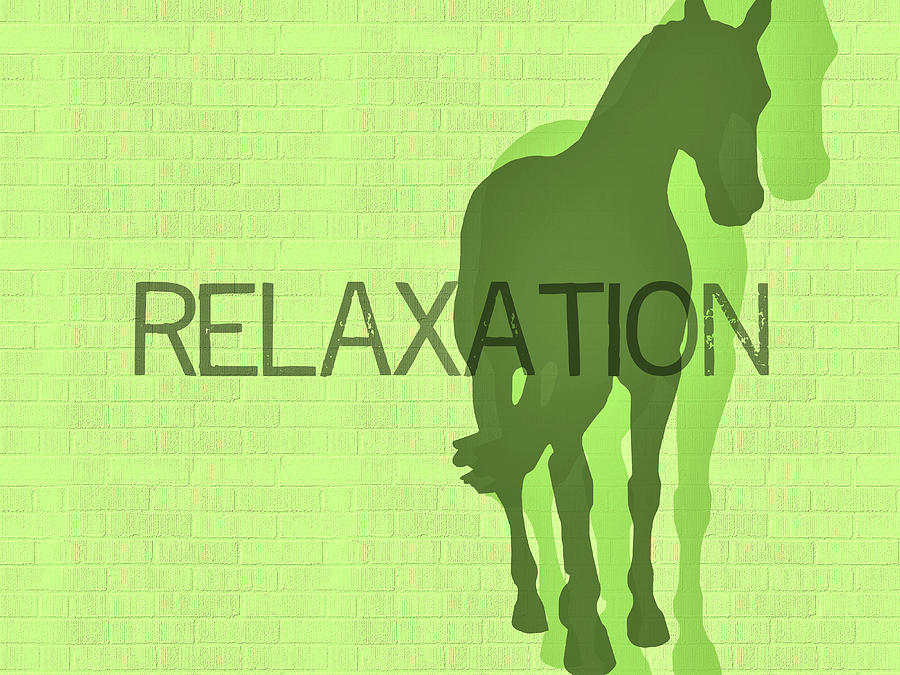 Relaxation Duet Photograph by Dressage Design