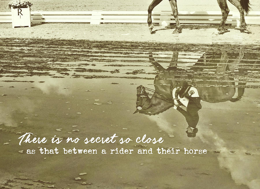 RELAXATION REFLECTION quote Photograph by Dressage Design