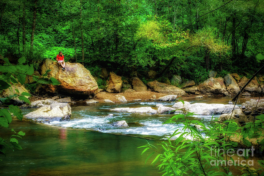 Relaxing along Little River Photograph by Nick Zelinsky Jr