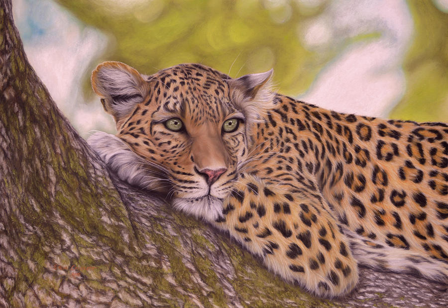 Animal Painting - Relaxing Leopard by Steve Crockett