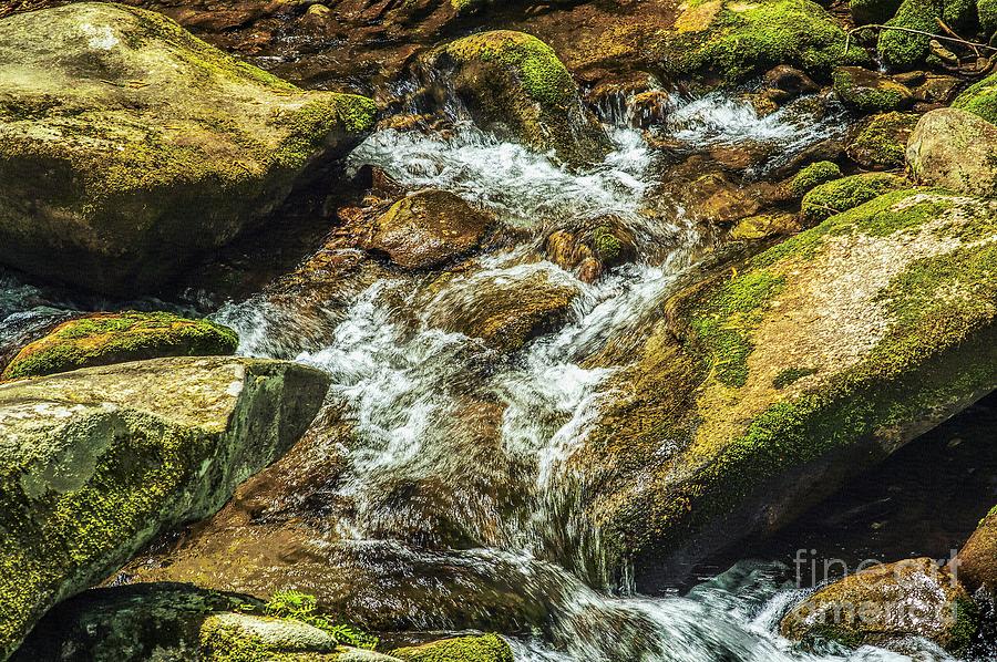Relaxing Panorama of Great Smoky Mountains National Park River Photograph by Stefano Senise