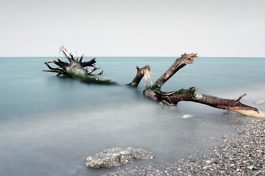 Remains Of Flood At Mouth Of Salinello Photograph by Marco Equizi