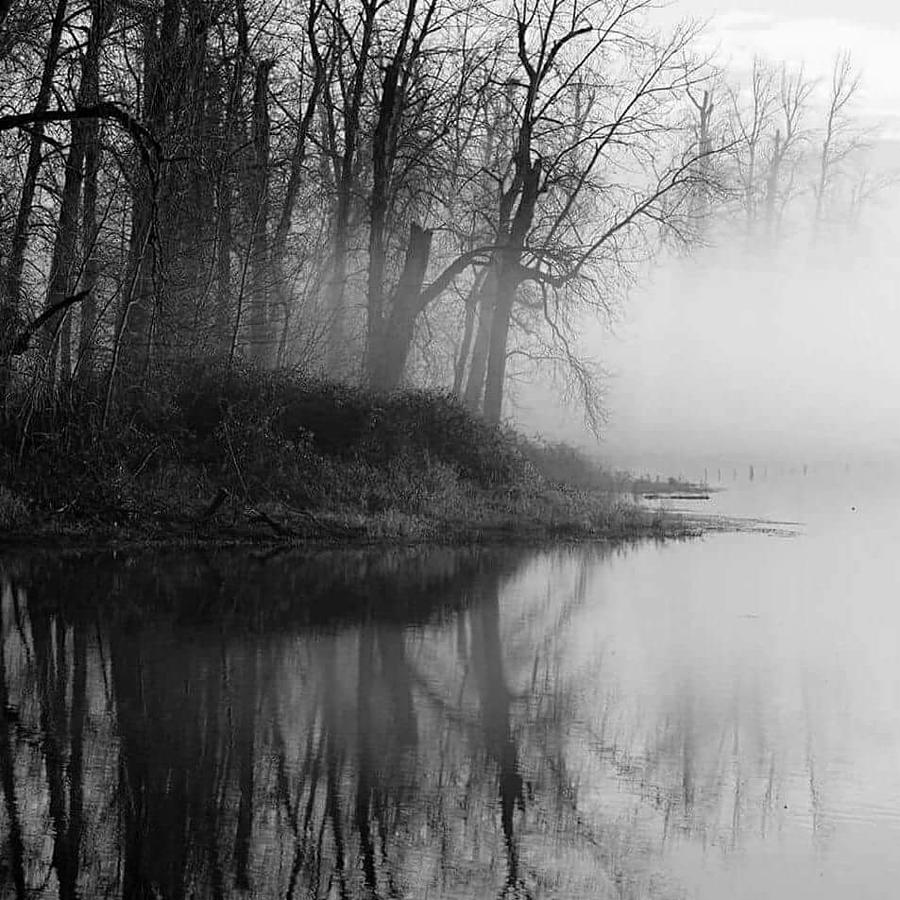 Remembering Alicia Photograph by Annie Hamilton - Fine Art America