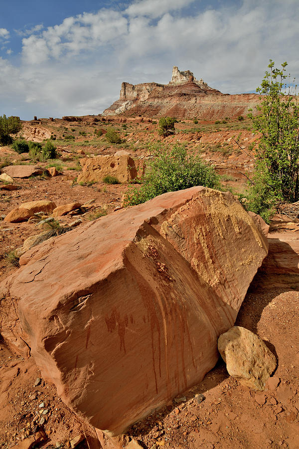 Remnants of Flash Flood in San Rafael Swell Photograph by Ray Mathis