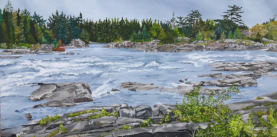 Renfrew Rapids Painting by Ronald Wilkie