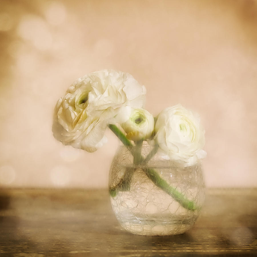 Still Life Photograph - Renoncules by Marie-anne Stas
