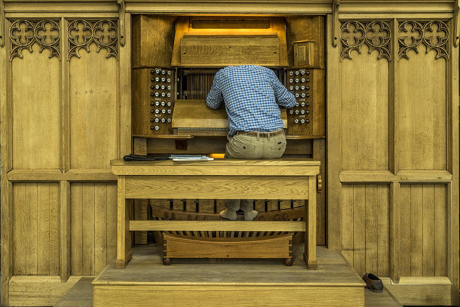 Pattern Photograph - Repairing The Organ by Susanne Stoop