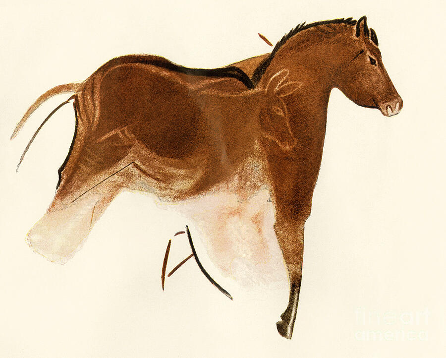 Prehistoric Drawing - Reproduction Of A Prehistoric Painting Found In The Spanish Cave Of Altamira Depicting A Mare And Her Foal by American School