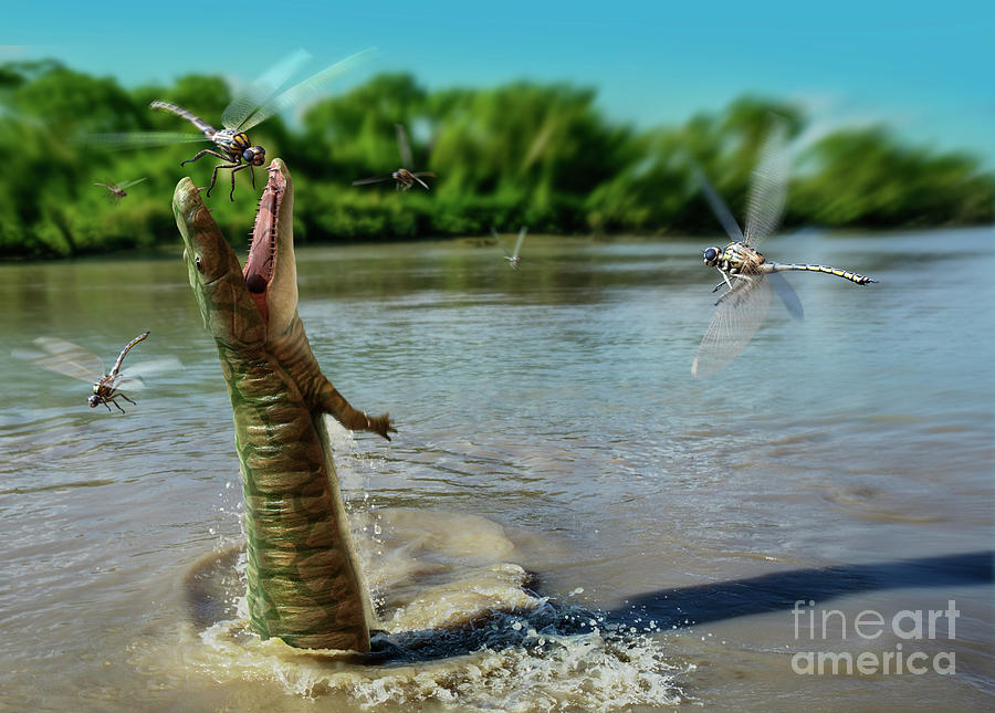 Reptile Hunting Prehistoric Giant Dragonflies Photograph by Jose Antonio Pe?as/science Photo Library