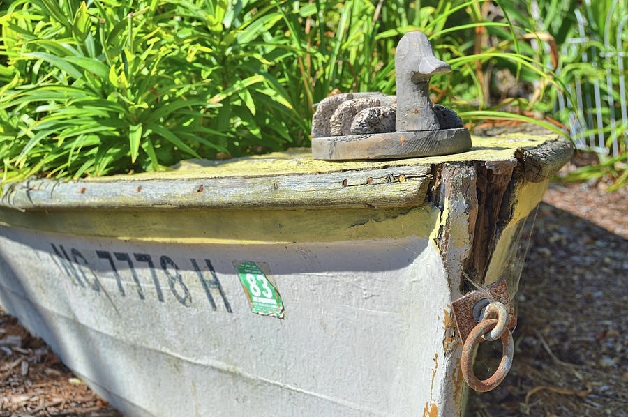 Repurposed Boat Photograph by JAMART Photography