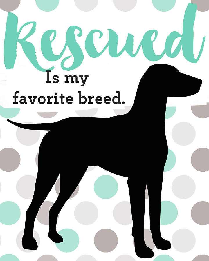 Rescue Is My Favorite Breed Drawing by Rutherford Boyd